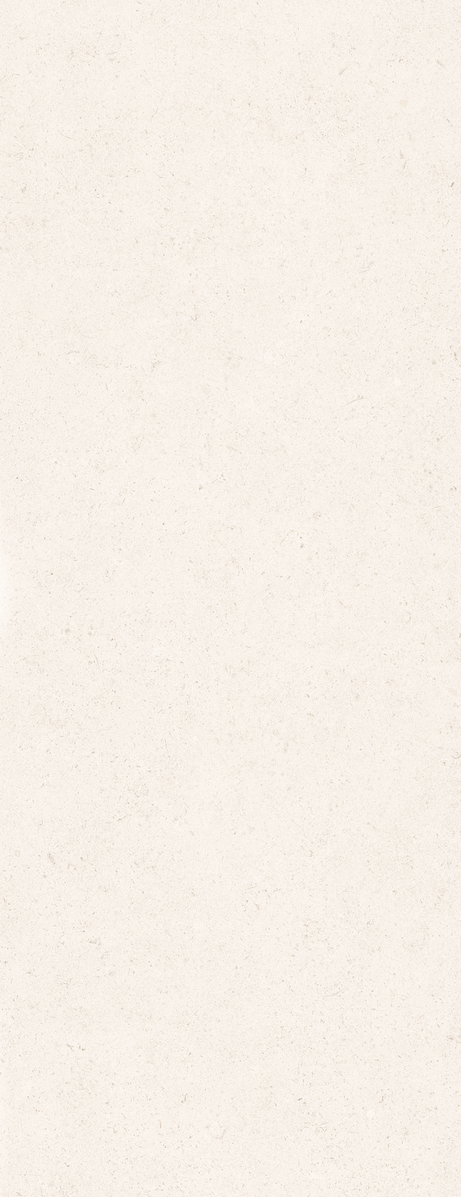 LALAI BRUT WALL 45X120 Mate Retificado