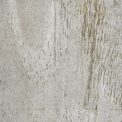 MODERNISTAS CONCRETO