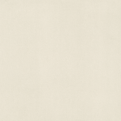 CANVAS INTENSE