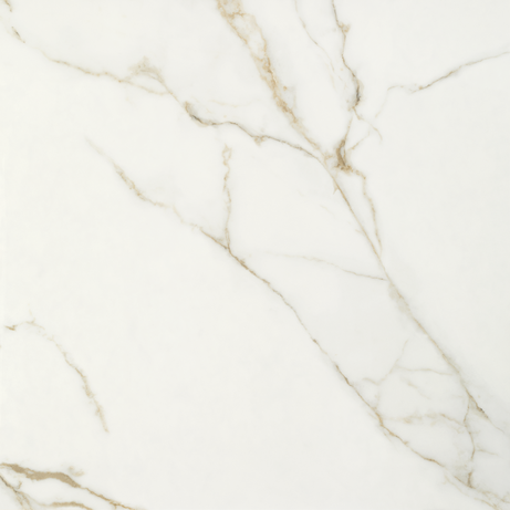 ORO BIANCO 120X120 Natural Retificado