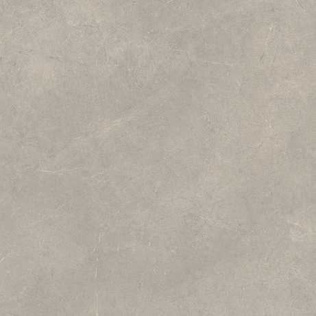 BLOOMY FOG 80X80 Natural Retificado