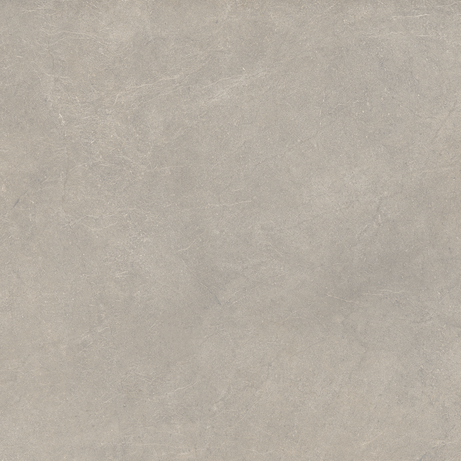 BLOOMY FOG 80X80 Externo Retificado