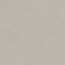 Zesty Light Gray 120x120 Ext Ret
