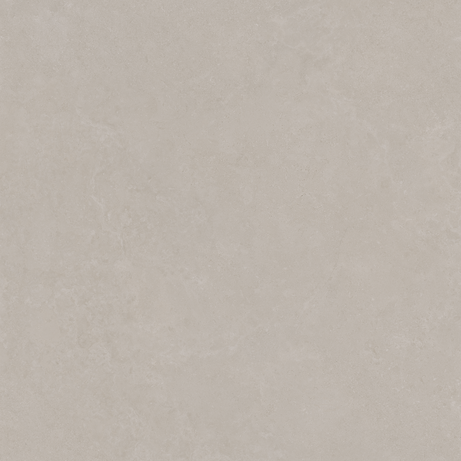 ZESTY LIGHT GRAY ST 120X120 Natural Rectified