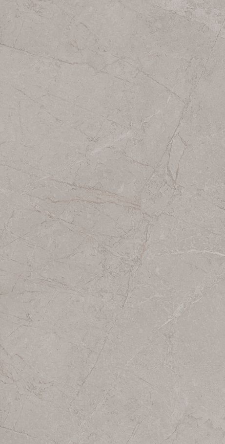 NOMAD GREY 60X120 Natural Retificado