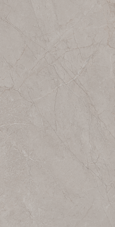 NOMAD GREY 60X120 Polido Retificado