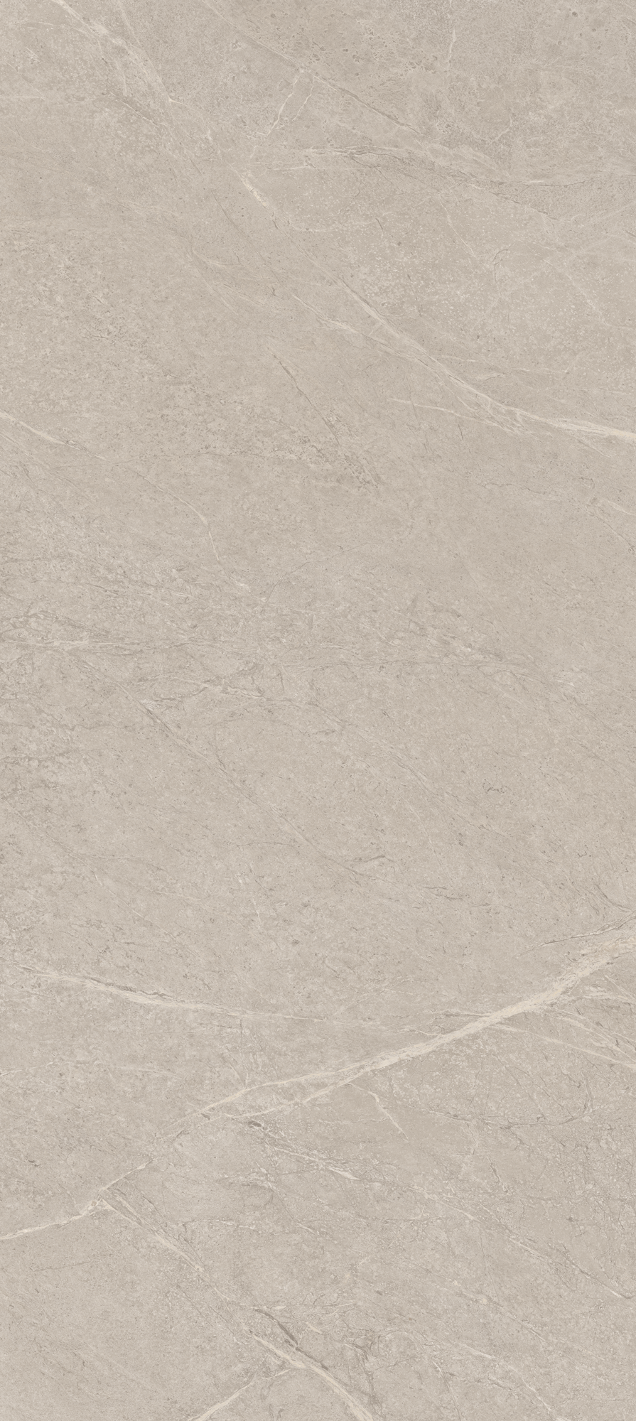 Image for APALACHES NUDE