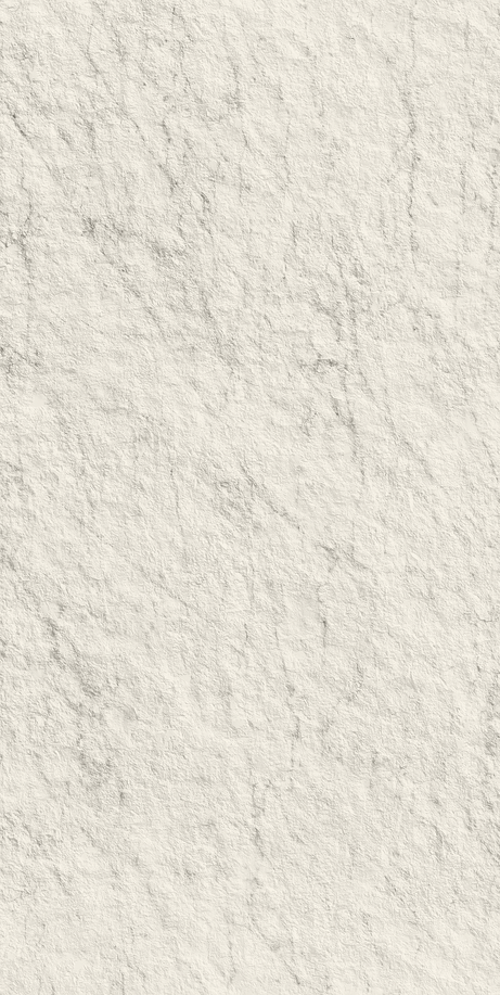 CARRARA ICON RELEVO BRUTO 60X120 Natural Retificado