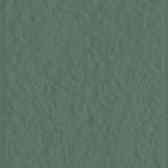 TRACE OLIVE