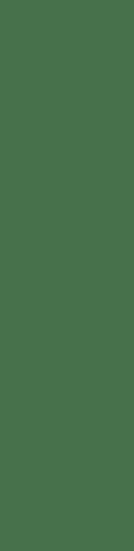 TRACE OLIVE MIX 09X37 Natural Bold