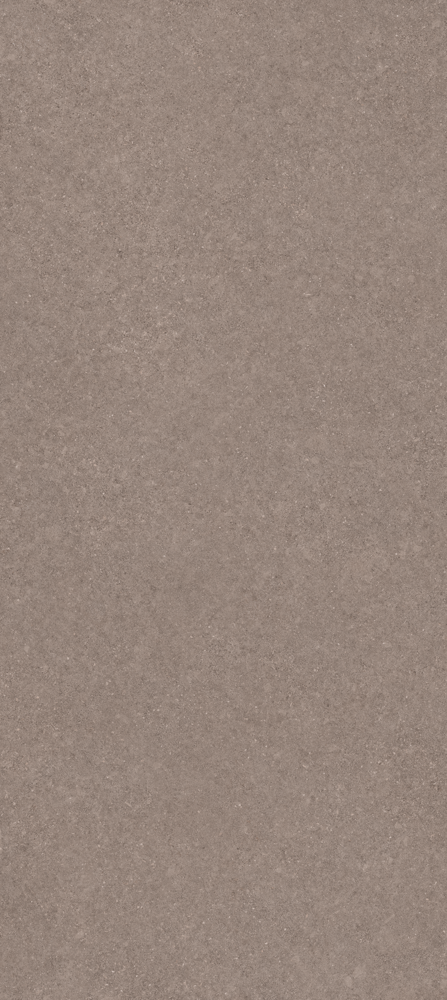 Image for KALKS FENDI