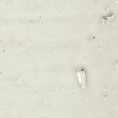 MATTER MICA