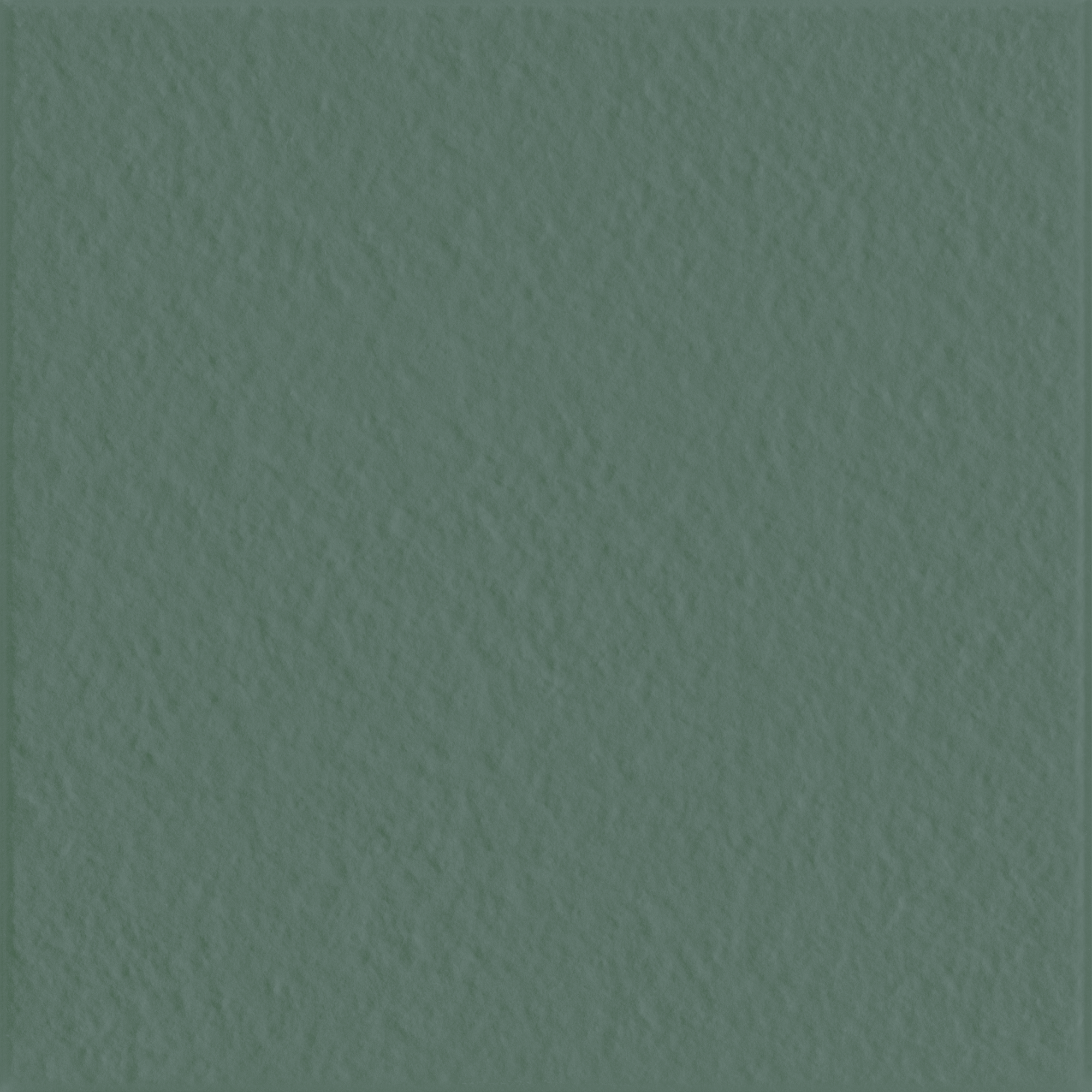 TRACE OLIVE