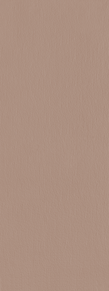 MURALE ARGILE GRIT 45X120 Mate Retificado