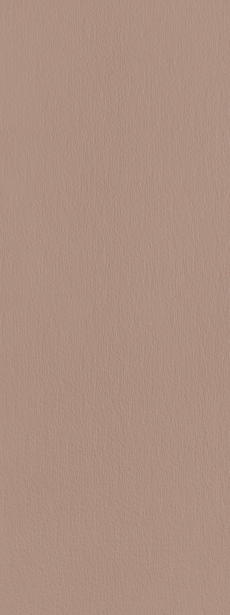 MURALE ARGILE GRIT 45X120 Mate Retificado
