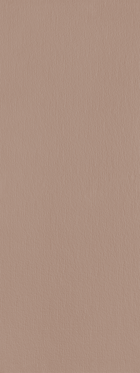 MURALE ARGILE GRIT 45X120 Mate Retificado