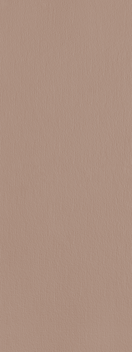MURALE ARGILE GRIT 45X120 Mate Retificado