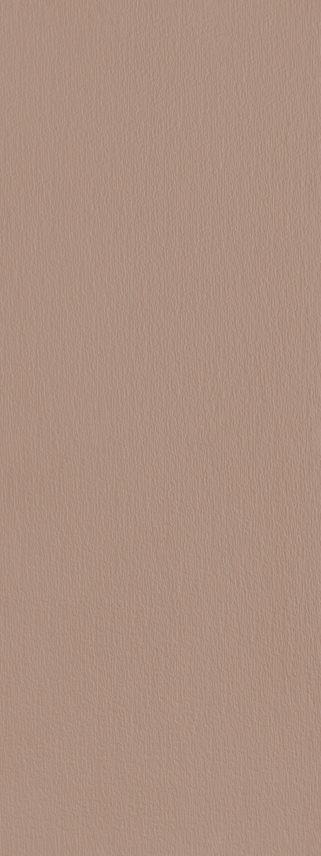 MURALE ARGILE GRIT 45X120 Mate Retificado