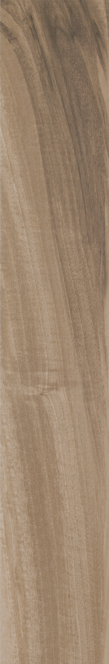 ARAUCARIA CLARA 20X120 Natural Retificado