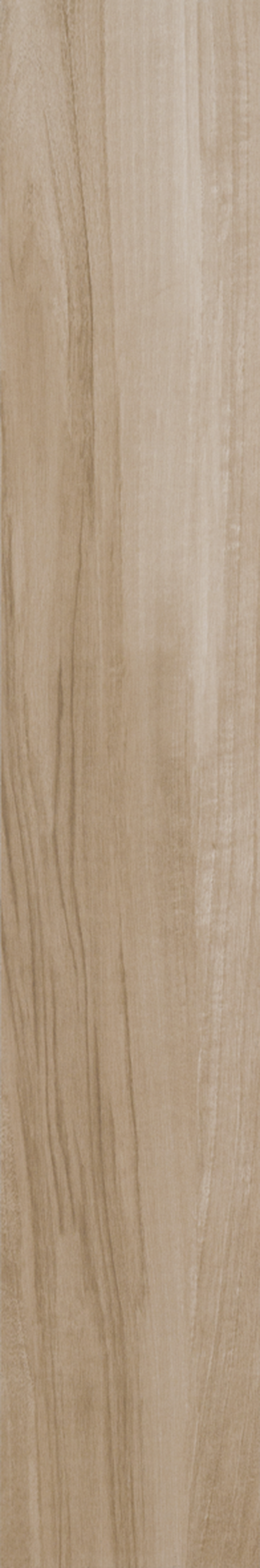 ARAUCARIA CLARA 20X120 Natural Retificado