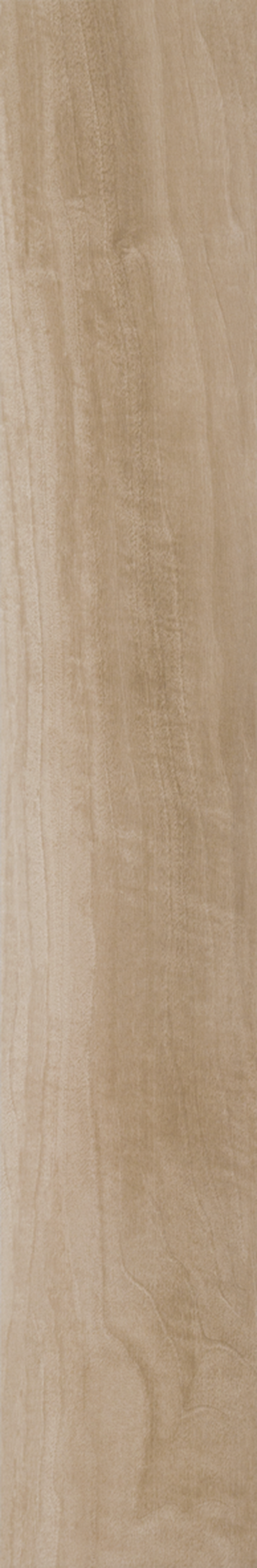 ARAUCARIA CLARA 20X120 Natural Retificado