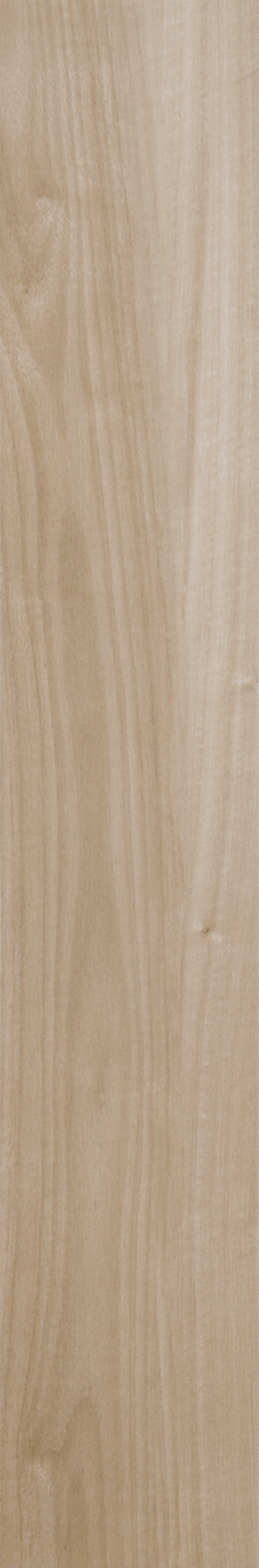 ARAUCARIA CLARA 20X120 Natural Retificado