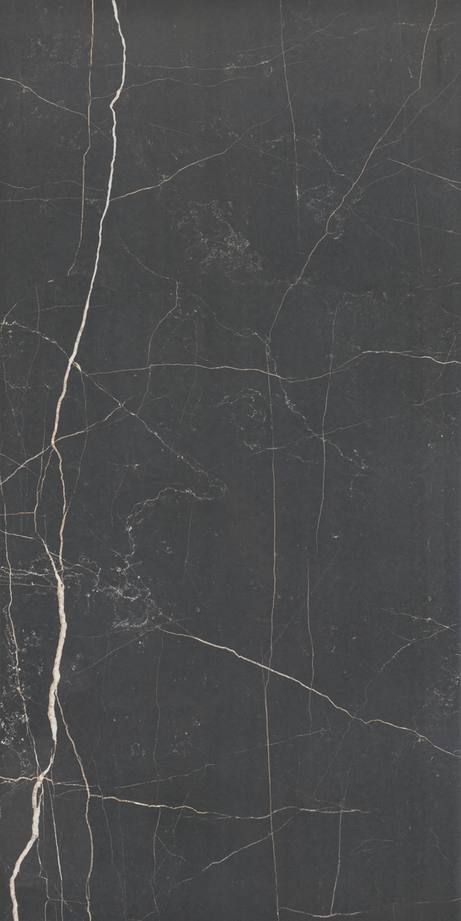 NERO VENATO 60X120 Polished Rectified