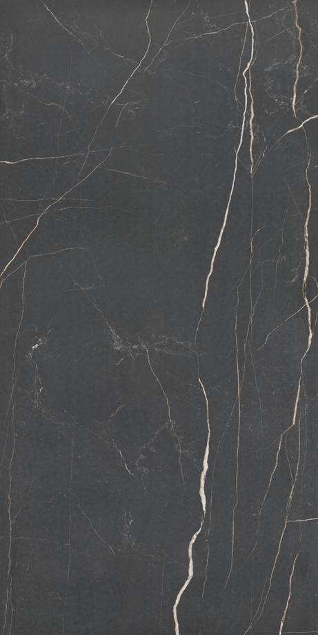 NERO VENATO 60X120 Polished Rectified