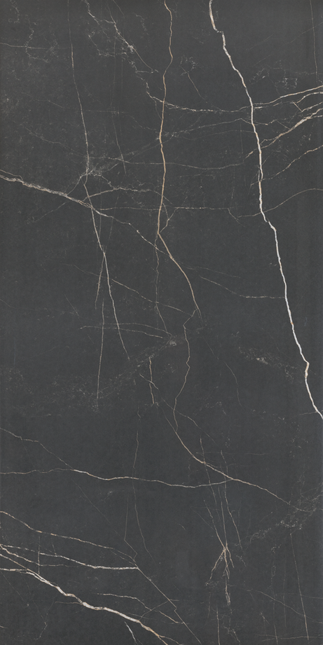 NERO VENATO 60X120 Polished Rectified
