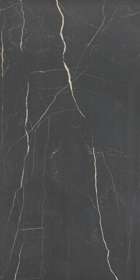 NERO VENATO 60X120 Polished Rectified