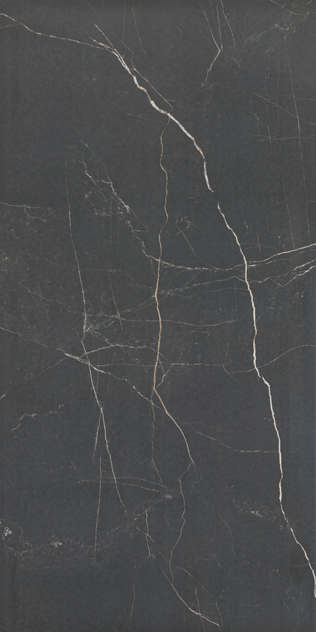 NERO VENATO 60X120 Polished Rectified