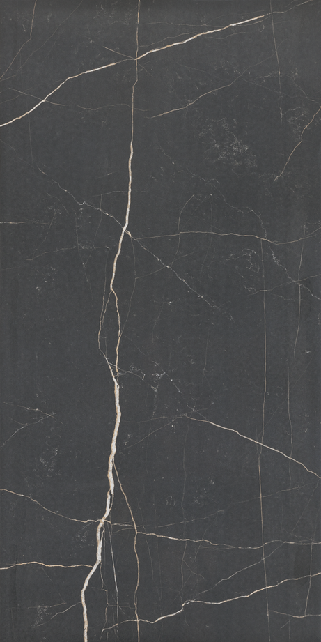NERO VENATO 60X120 Polished Rectified