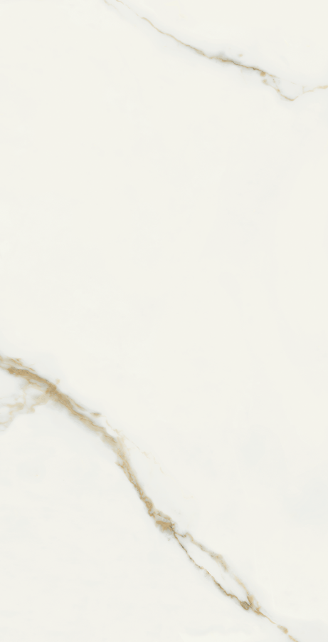 ORO BIANCO 60X120 Polished Rectified