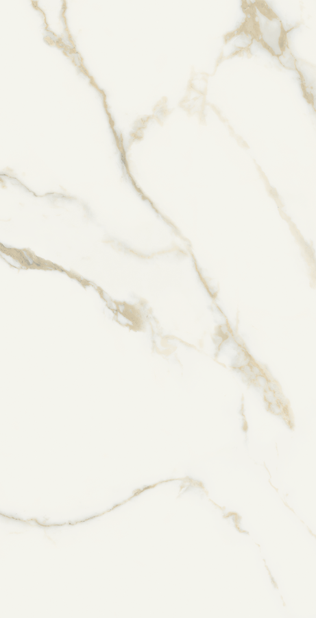 ORO BIANCO 60X120 Polished Rectified