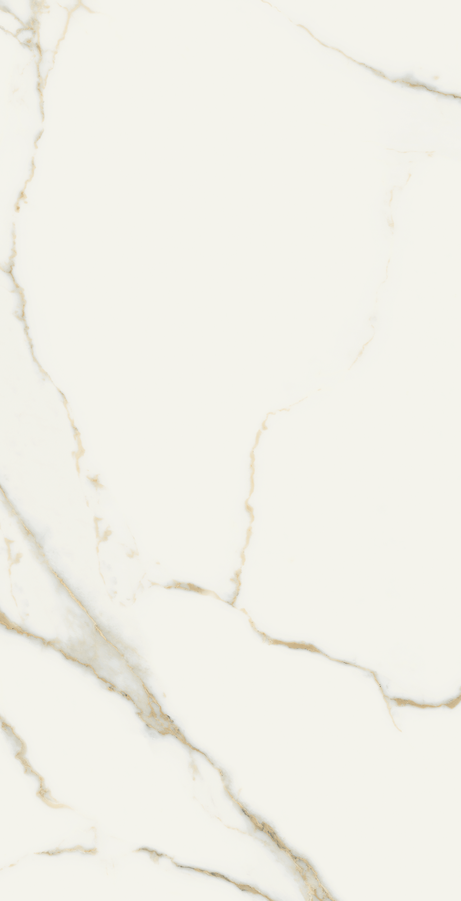 ORO BIANCO 60X120 Polished Rectified