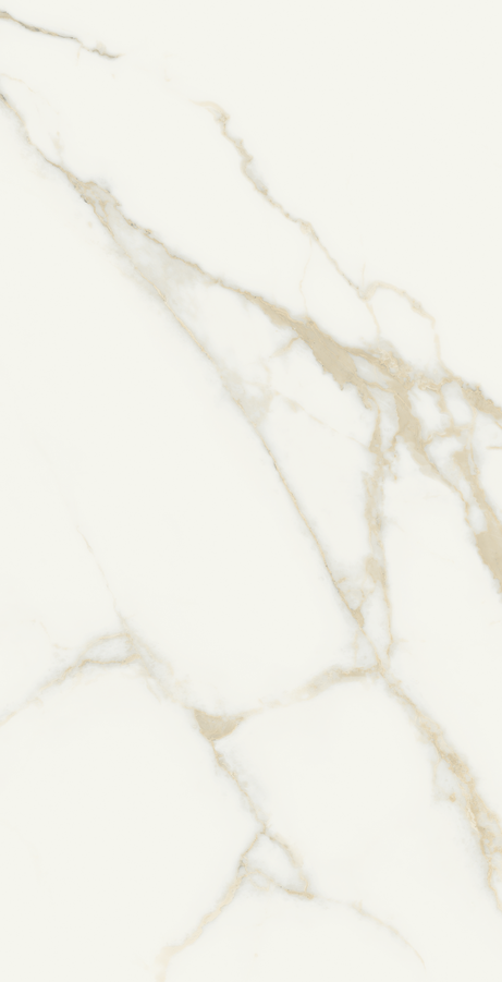 ORO BIANCO 60X120 Polished Rectified