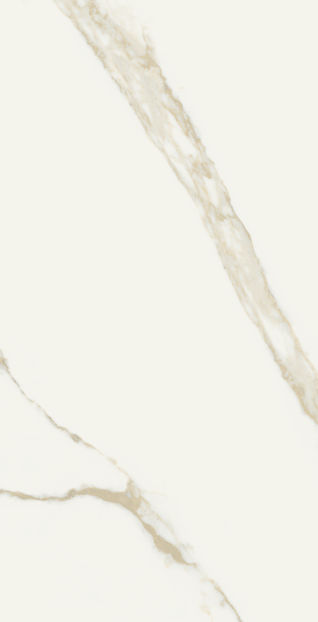 ORO BIANCO 60X120 Polished Rectified