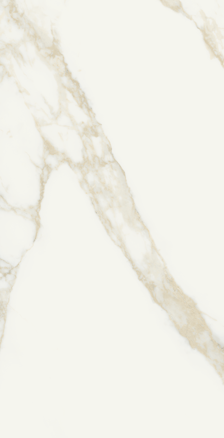 ORO BIANCO 60X120 Polished Rectified