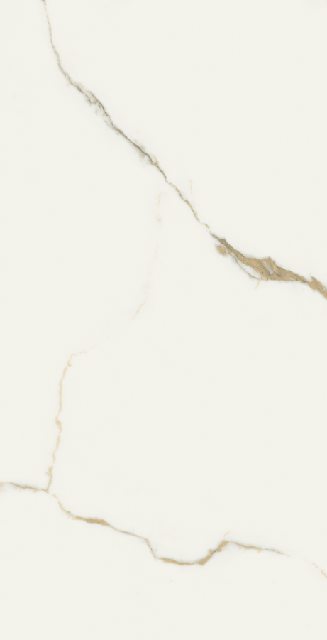 ORO BIANCO 60X120 Polished Rectified