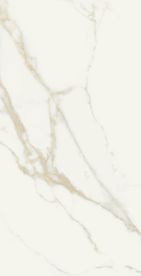 ORO BIANCO 60X120 Polished Rectified