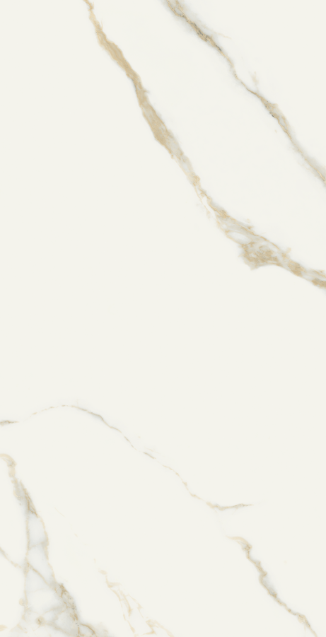 ORO BIANCO 60X120 Polished Rectified