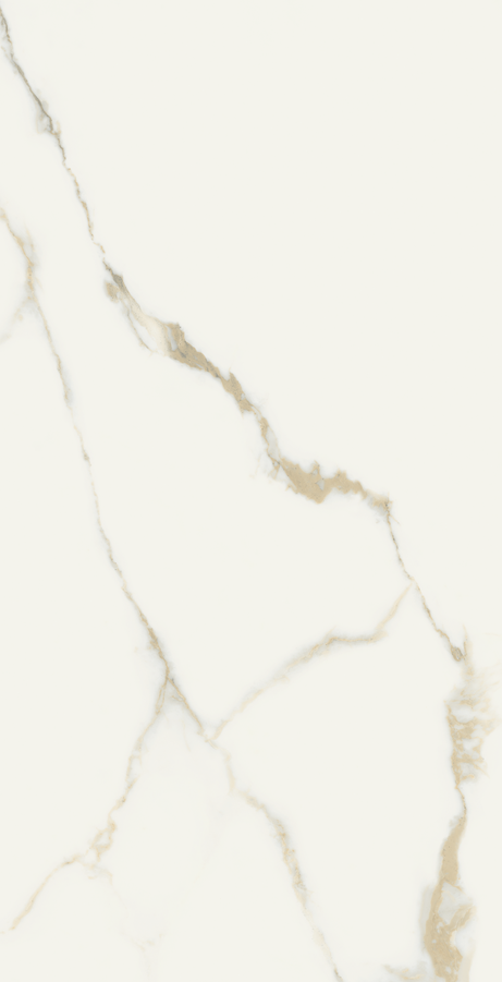 ORO BIANCO 60X120 Polished Rectified