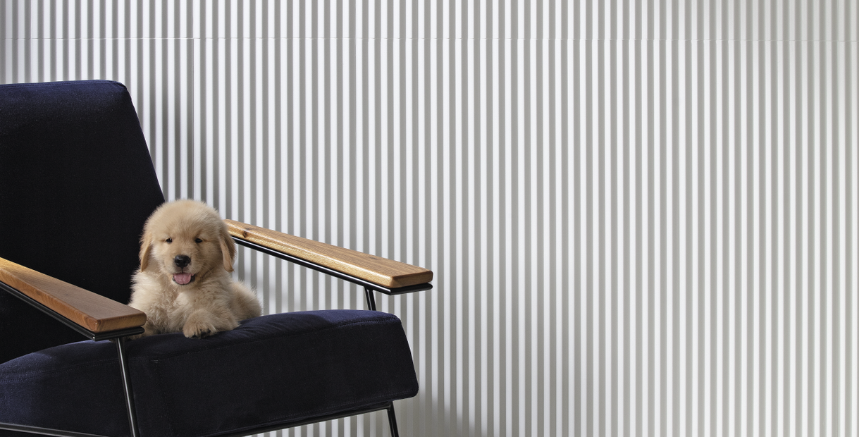WHITE ZIGZAG 