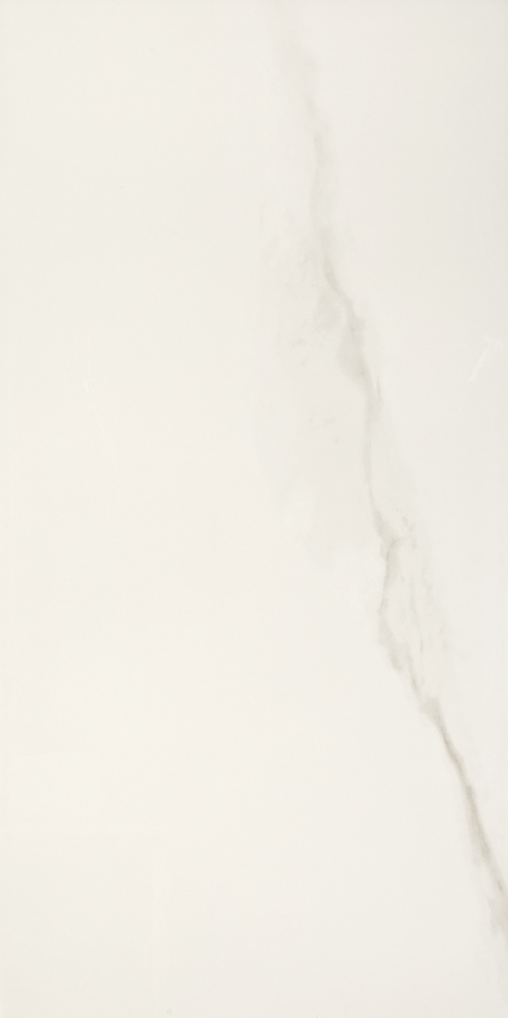 MICHELANGELO 90X180 Polished Rectified