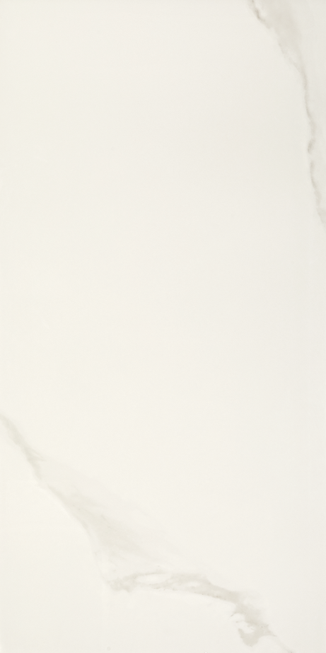 MICHELANGELO 90X180 Polished Rectified