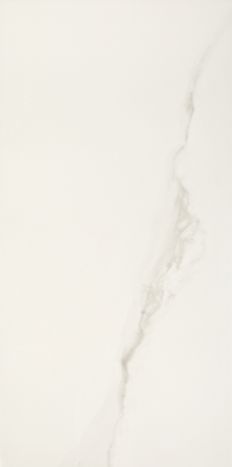 MICHELANGELO 90X180 Polished Rectified