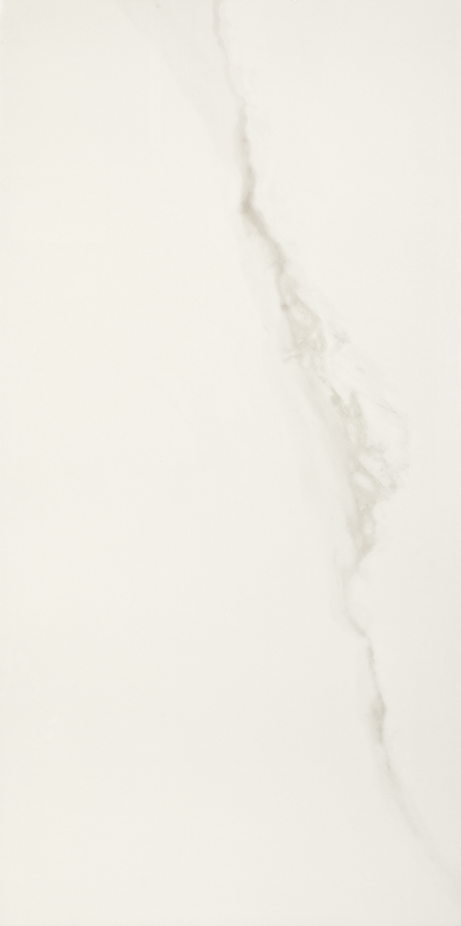 MICHELANGELO 90X180 Natural Rectified