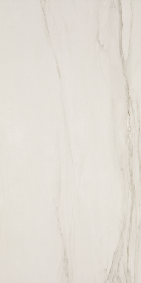 CHARLESTON 60X120 Polido Retificado