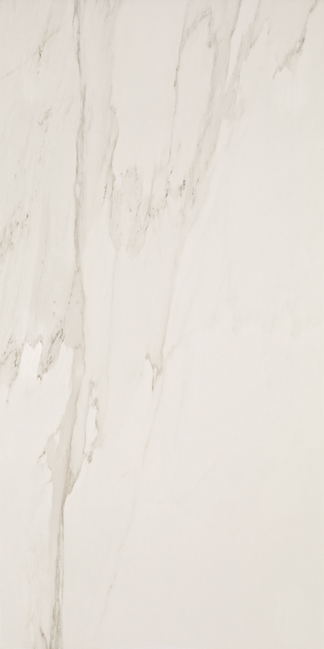 CHARLESTON 60X120 Polido Retificado