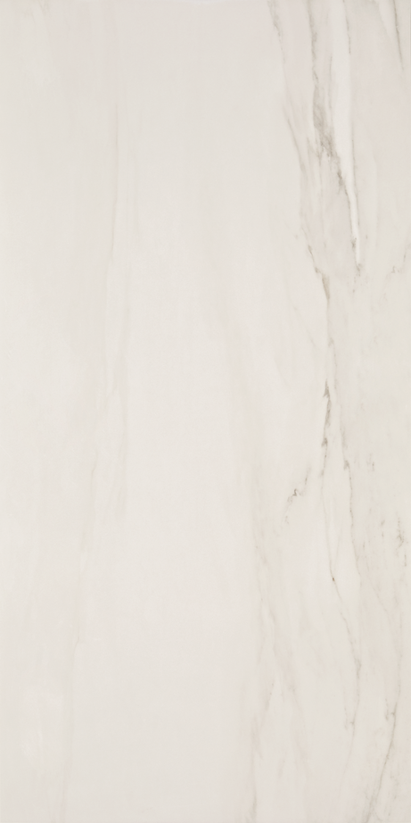 CHARLESTON 60X120 Polido Retificado